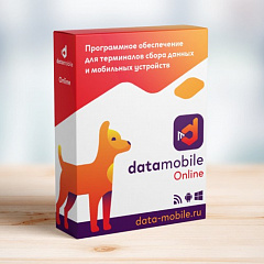 DataMobile, версия Online в Балаково