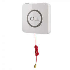 Кнопка вызова iBells 310S влагозащищенная со шнуром для МГН в Балаково